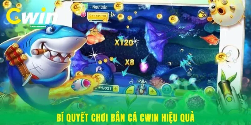 Bí quyết chơi bắn cá Cwin hiệu quả