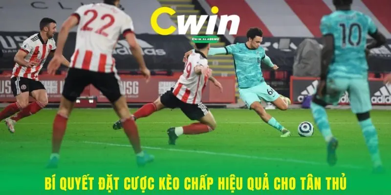 Bí quyết đặt cược kèo chấp hiệu quả cho tân thủ