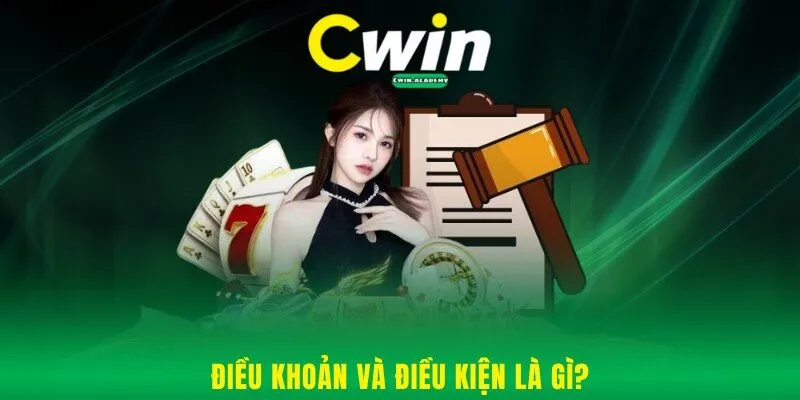 Điều khoản và điều kiện được hiểu là gì?