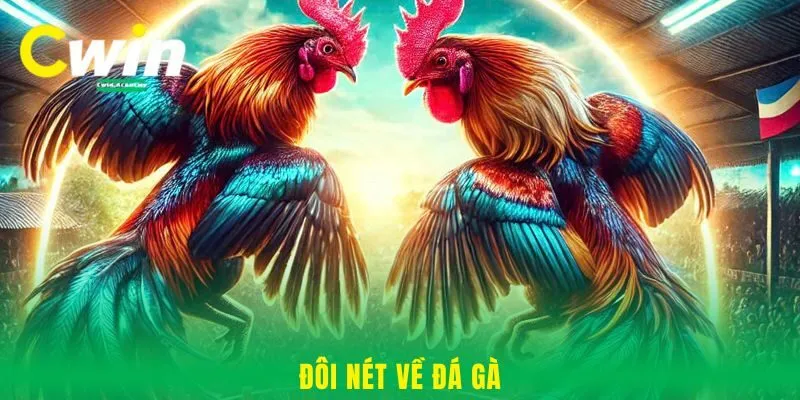 Đôi nét về đá gà