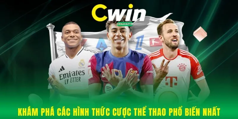 Khám phá các hình thức cược thể thao phổ biến nhất