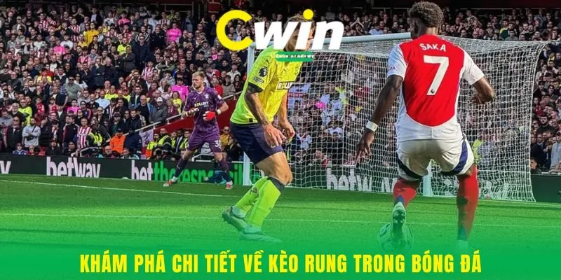 Khám phá chi tiết về kèo rung trong bóng đá