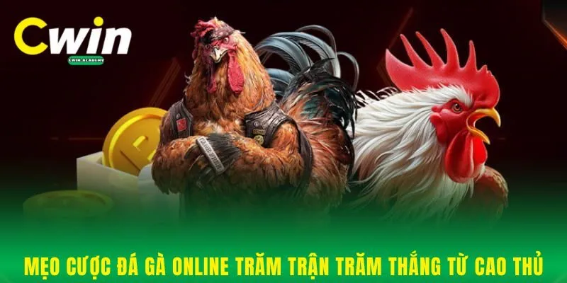 Mẹo cược đá gà online trăm trận trăm thắng từ cao thủ