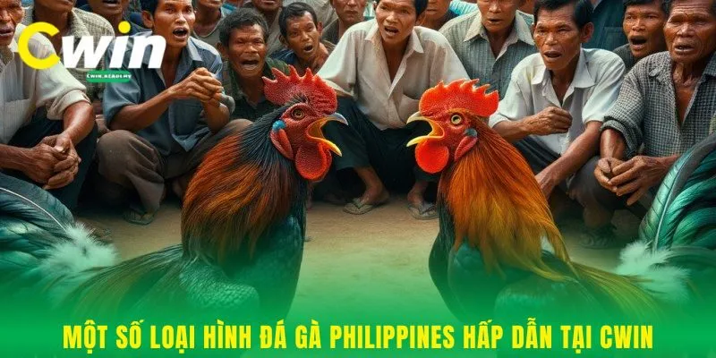 Một số loại hình đá gà Philippines hấp dẫn tại Cwin