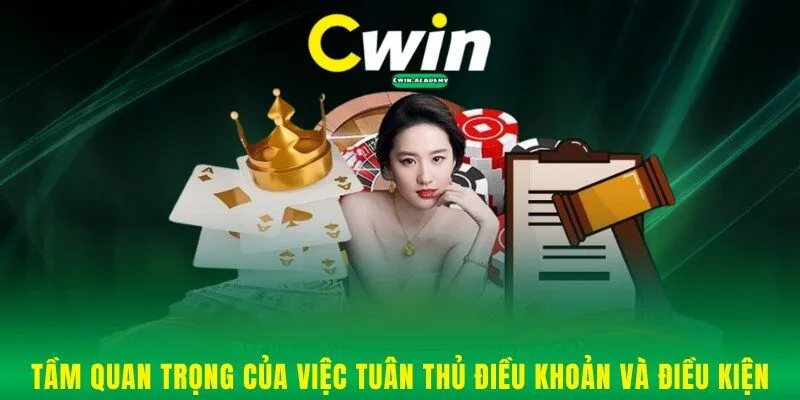 Vai trò quan trọng khi tuân thủ điều khoản và điều kiện