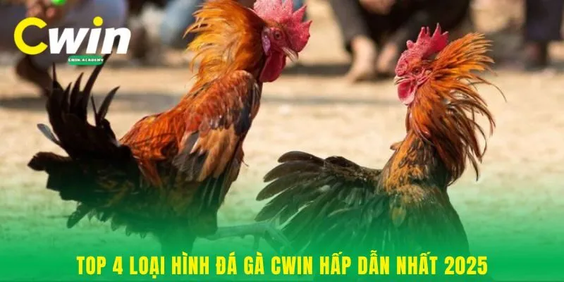 Top 4 loại hình đá gà Cwin hấp dẫn nhất 2025