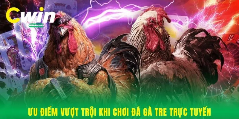 Ưu điểm vượt trội khi chơi đá gà tre trực tuyến